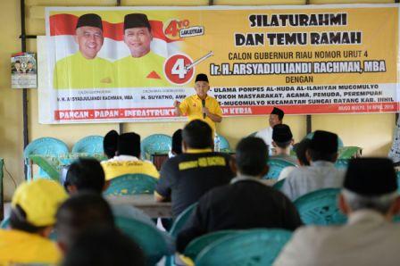 Ingat ya, Zaman Andi Rachman Sudah 1.925 Ha Kebun Kelapa di Inhil yang Direplanting